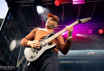 Vermicular Incubation - Photo by Natalie