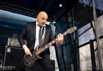 Vermicular Incubation - Photo by Natalie