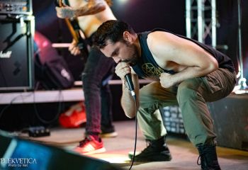 Vermicular Incubation - Photo by Natalie