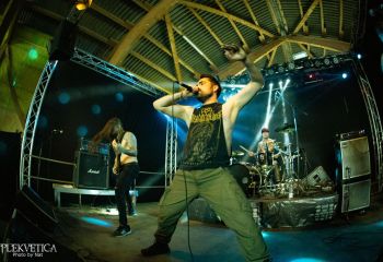 Vermicular Incubation - Photo by Natalie