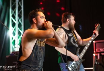 Vermicular Incubation - Photo by Natalie