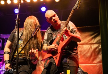 Vulture-photo by Michel Varrin