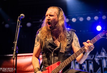 Vulture-photo by Michel Varrin