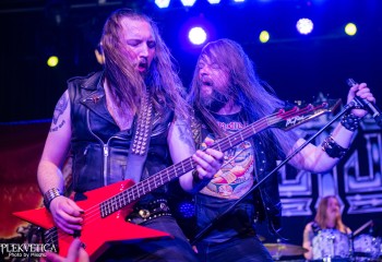 Vulture-photo by Michel Varrin