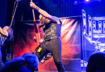 Vulture-photo by Michel Varrin