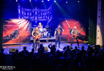 Vulture-photo by Michel Varrin