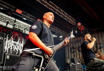 Warside - Photo by Natalie
