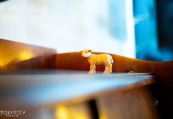 Ys Jensyts / Howl - Photo by Natalie