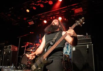 Analepsy - Photo by Natalie