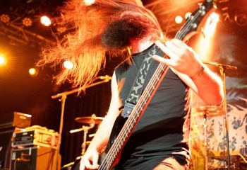 Analepsy - Photo by Natalie