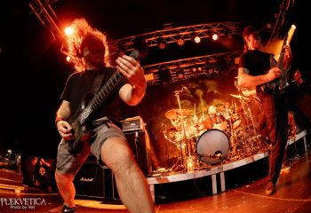 Analepsy - Photo by Natalie