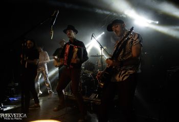 dsc7384