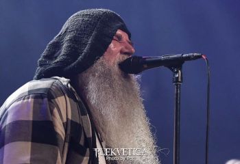 Bluedög - Photo by Pat