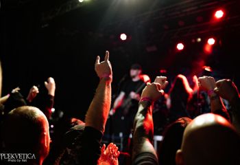 Analepsy - Photo by Natalie