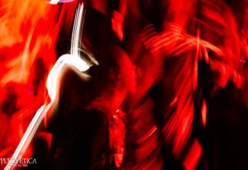 Analepsy - Photo by Natalie