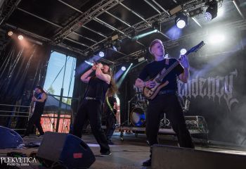 Inborn Tendency - Photo by Dänu