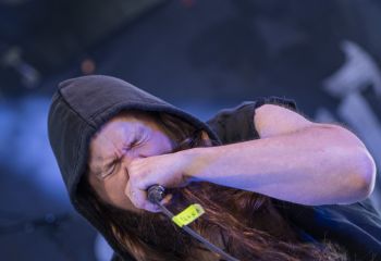 Inborn Tendency - Photo by Dänu