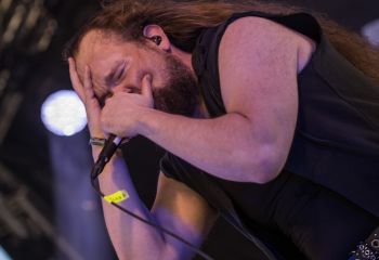 Inborn Tendency - Photo by Dänu