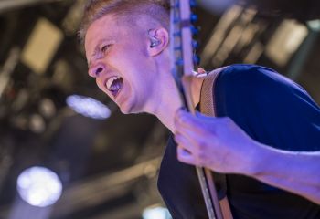 Inborn Tendency - Photo by Dänu