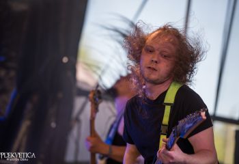 Inborn Tendency - Photo by Dänu