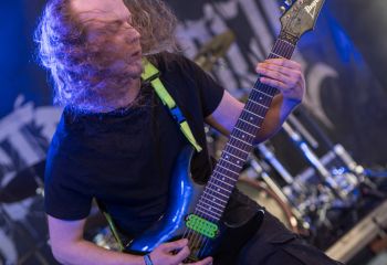 Inborn Tendency - Photo by Dänu