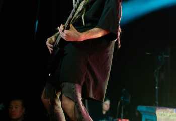 Infected Rain - Photo By Peti