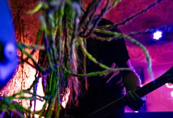 Jungle Rot - Photo by Natalie