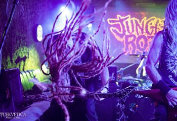 Jungle Rot - Photo by Natalie