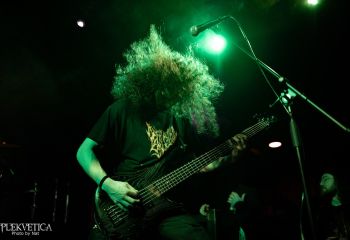 Kakothanasy - Photo by Natalie