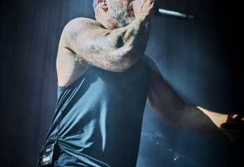 Lionheart - Photo By Peti