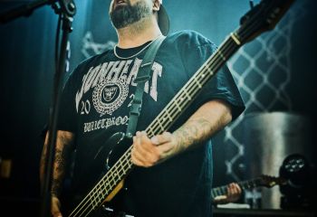 Lionheart - Photo By Peti