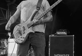 Monkey3 - Photo By Peti