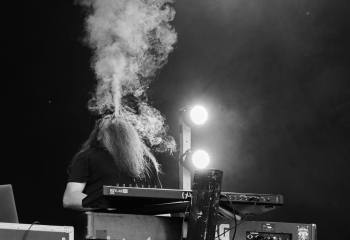Monkey3 - Photo By Peti