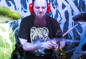 Pighead - Photo by Natalie