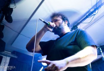 Pighead - Photo by Natalie