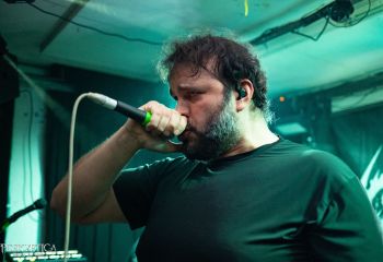 Pighead - Photo by Natalie