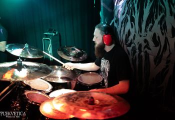 Pighead - Photo by Natalie