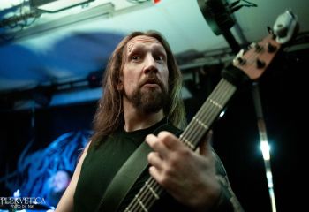 Pighead - Photo by Natalie