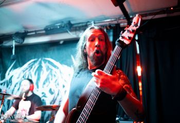 Pighead - Photo by Natalie