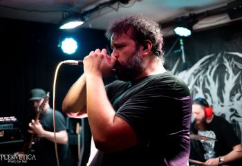 Pighead - Photo by Natalie