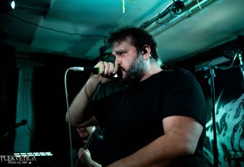 Pighead - Photo by Natalie