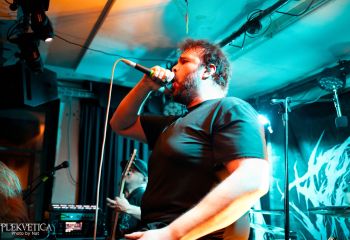 Pighead - Photo by Natalie