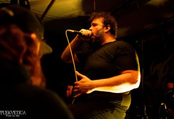 Pighead - Photo by Natalie