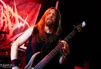 Pighead - Photo by Natalie