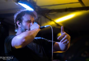 Pighead - Photo by Natalie