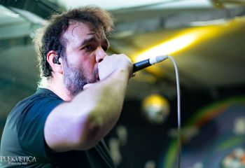 Pighead - Photo by Natalie