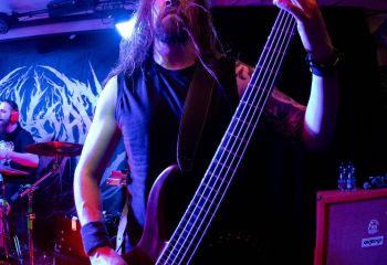 Pighead - Photo by Natalie