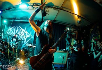 Pighead - Photo by Natalie