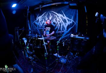 Pighead - Photo by Natalie