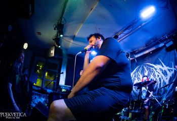 Pighead - Photo by Natalie